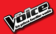 vignette_thevoice
