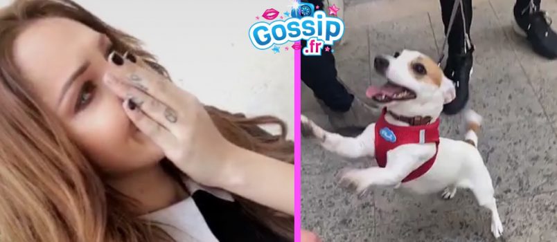 PHOTOS - Nabilla: En larmes, elle retrouve enfin sa petite Pita!